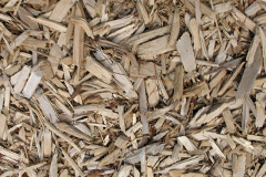 biomass boilers Coa