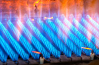 Coa gas fired boilers