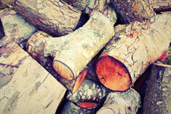 Coa wood burning boiler costs